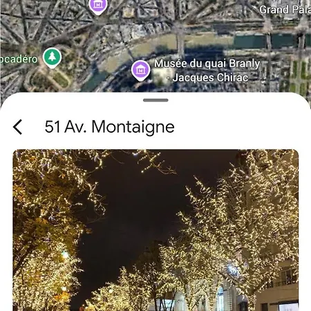 Champs-elysees, Avenue Montaigne דירה